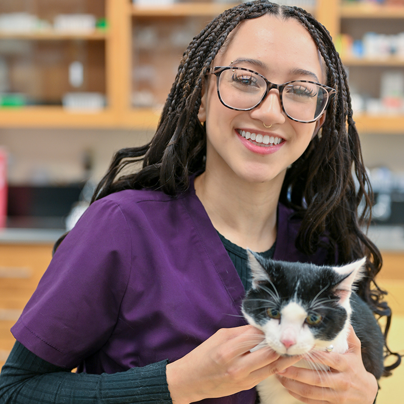 Lionna Patrick holds a black and white cat in the Vet Tech lab.