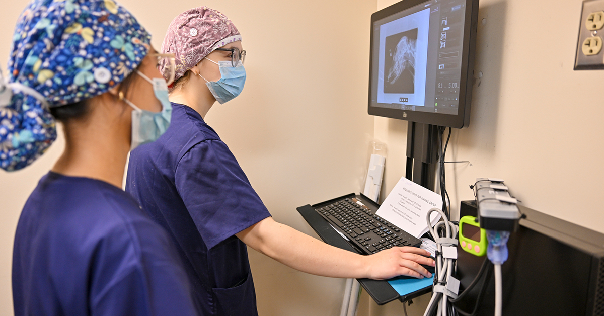 Medical Academy of Science and Health campers Yarra Lauro and Lara Panteleyeva view an x-ray in Newell Veterinary Technology Center.