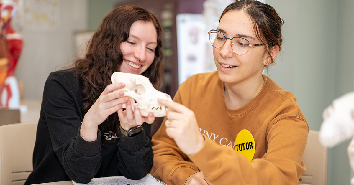 Veterinary Technology students Karyssa Maynard and Luara Martino identify bones on a canine skeleton in SUNY Canton’s STEM Lab.
