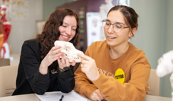Veterinary Technology students Karyssa Maynard and Luara Martino identify bones on a canine skeleton in SUNY Canton’s STEM Lab.