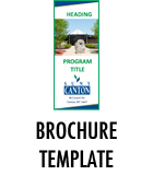 Brochure Template