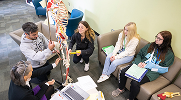 A small group reviews anatomy and physiology on a model skeleton.