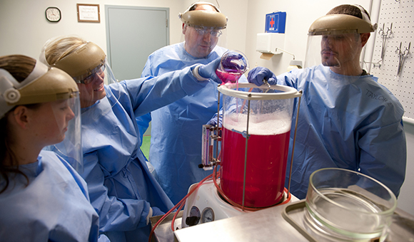 Professor David Penepent assists students with pink embalming fluid.