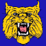 Gouverneur Central Wildcats