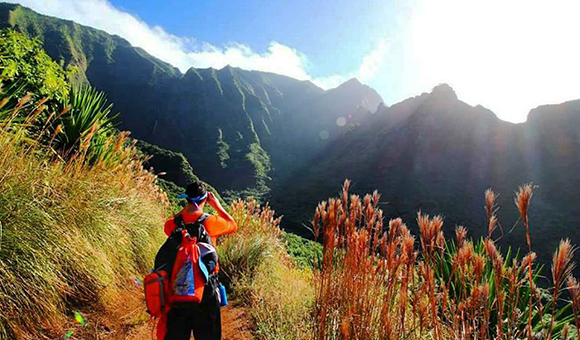 Nick Miale in Hawaii