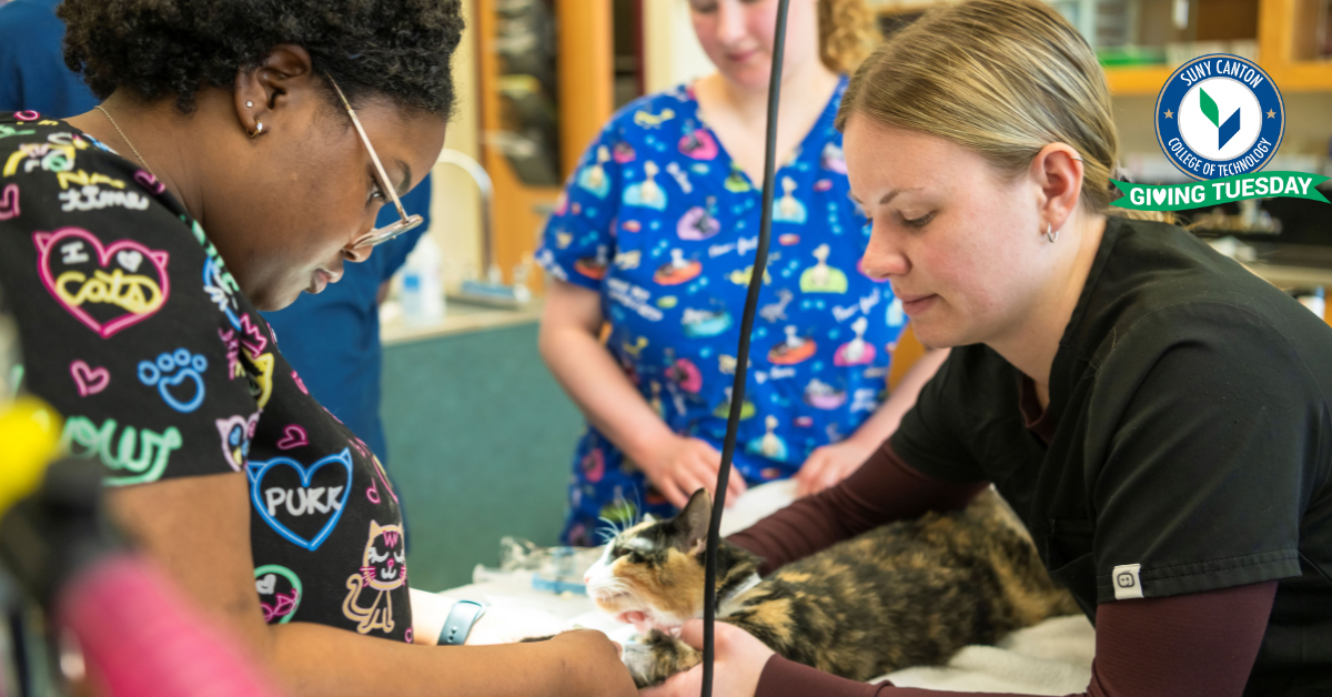 Giving Tuesday: Vet tech students work with a calico cat in Newell Vet Tech Center.