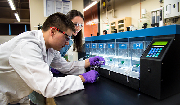 Student Cody McKee tests water samples in the Water Filtration lab while Professor Rygel looks on.