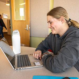 A student works on a laptop in a Southworth Library study room.