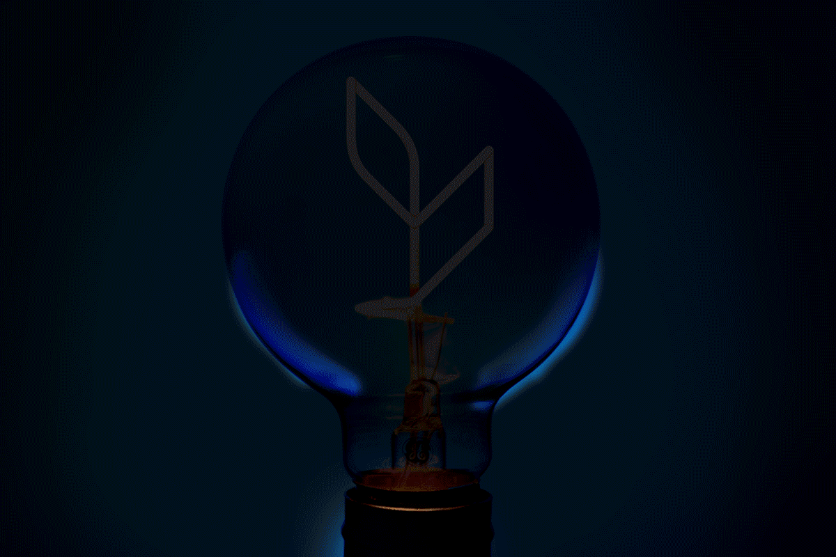 Flashing lightbulb with SUNY Canton filament.
