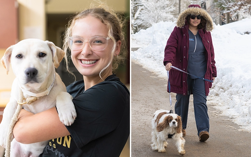 Students holding and walking their dogs around campus.