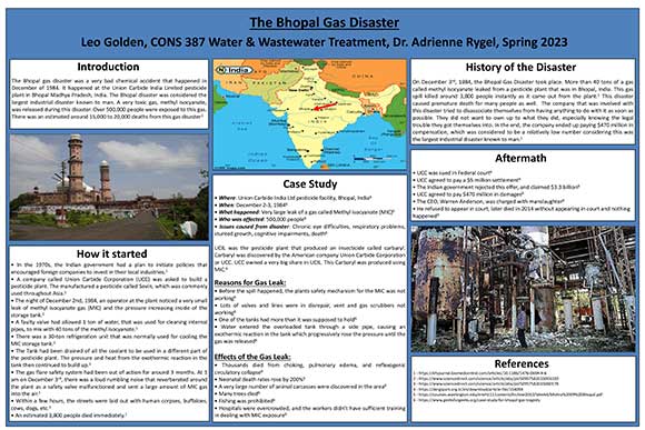 The Bhopal Gas Disaster