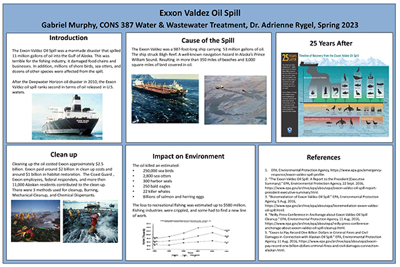 Exxon Oil Spill