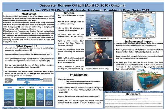 Deepwater Horizon Oil Spill