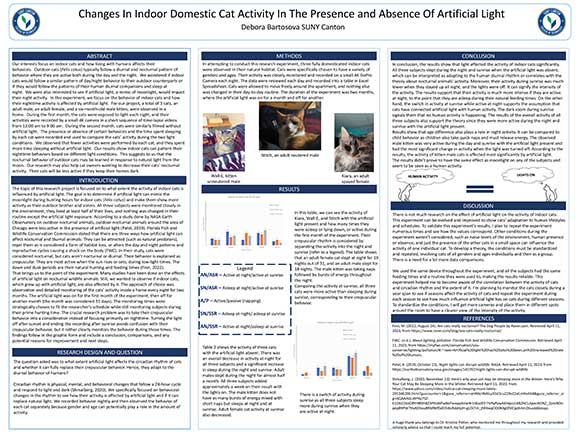 Changes in Indoor Domestic Cat Activity in the Presence and Absence of Artificial Light
