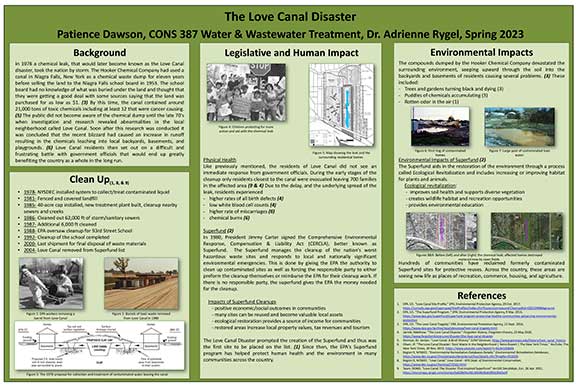The Love Canal Disaster