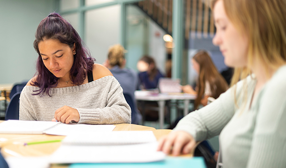 Two students study in the library