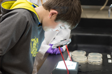 Students examining water samples.