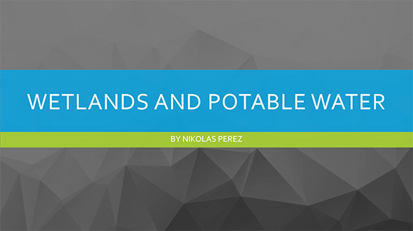 Wetlands and Potable Water by Nikolas Perez